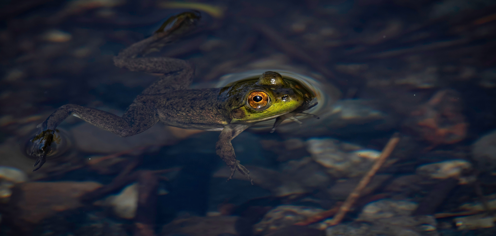 AdobeStock
