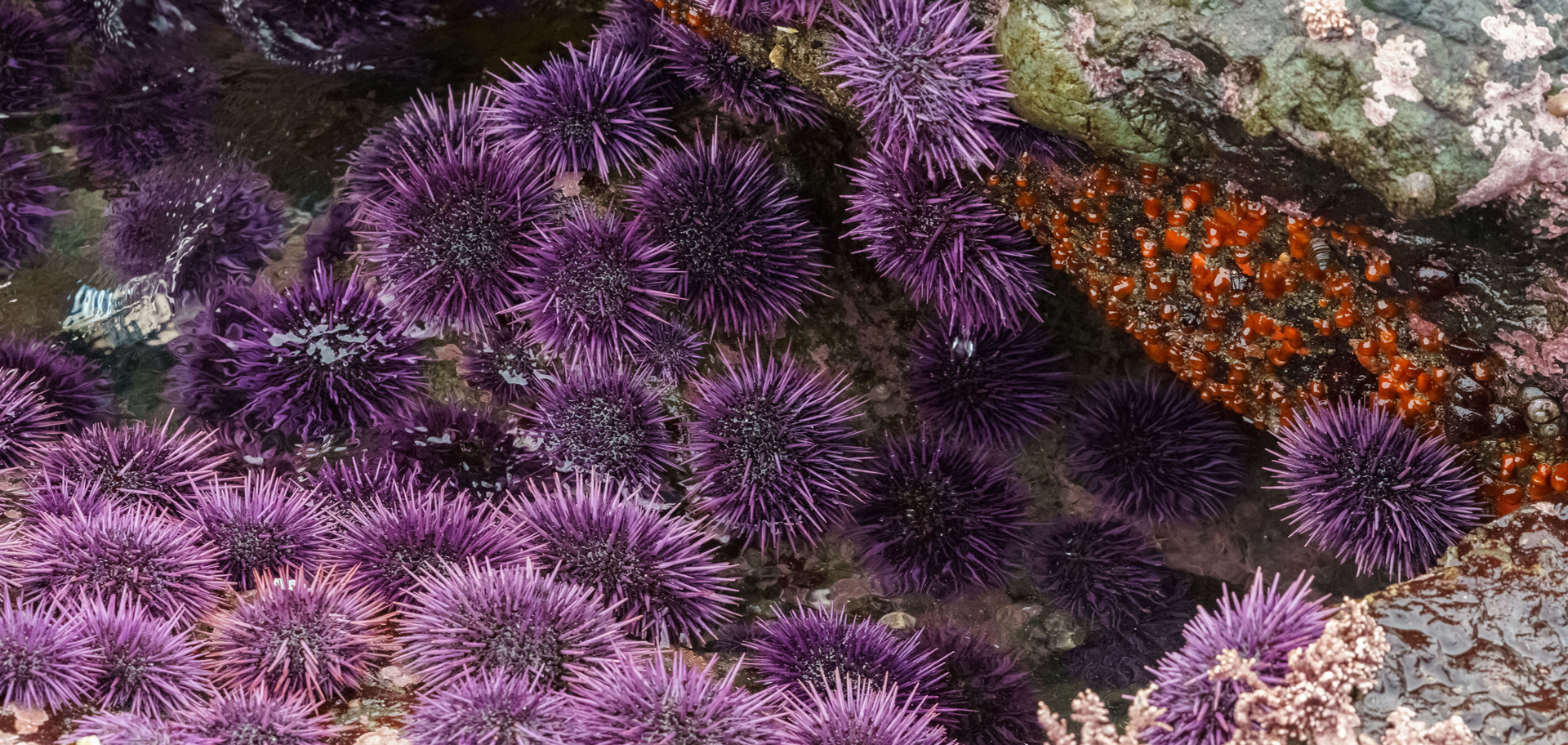 AdobeStock