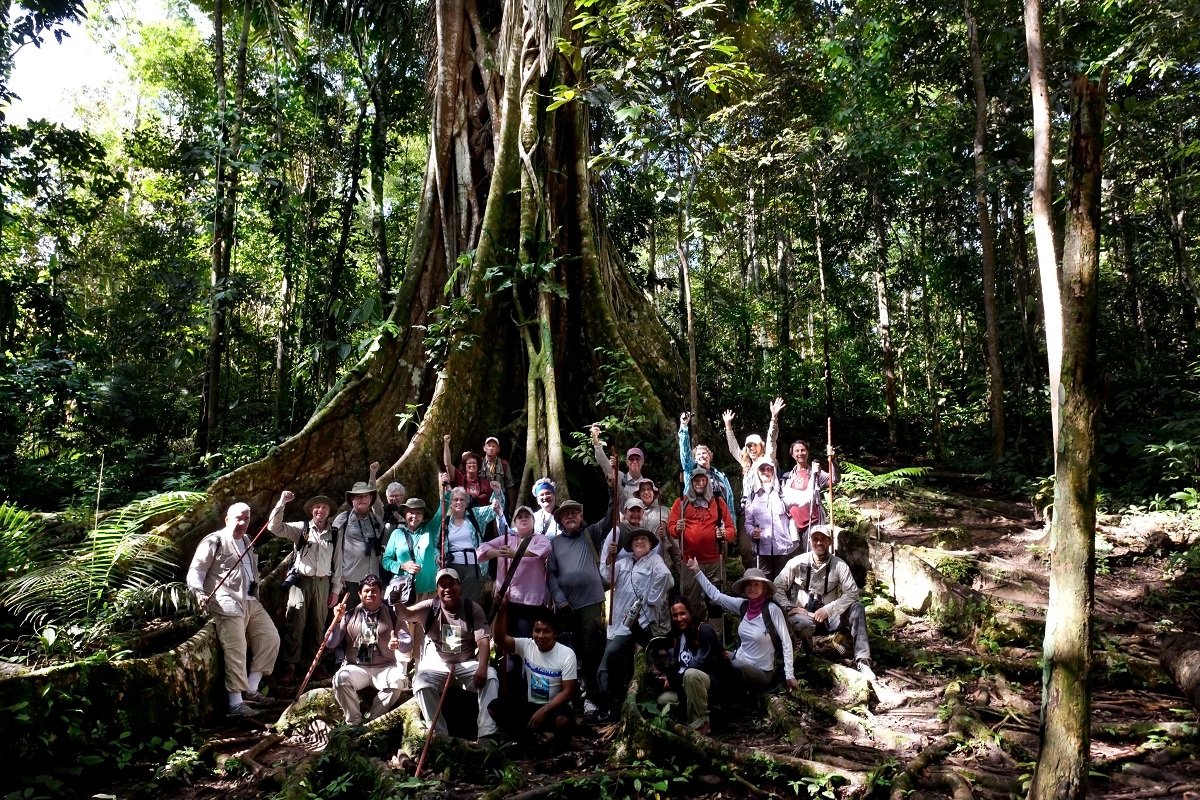 Nat Hab travelers pose by a massive tree in the Amazon rainforest.